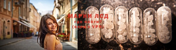 ешки Аркадак