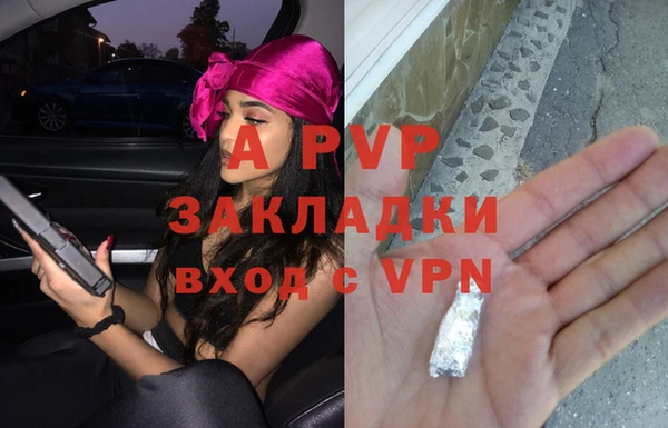 ешки Аркадак