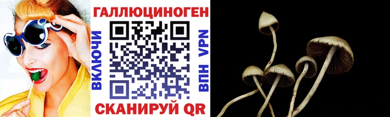 Псилоцибиновые грибы ЛСД  гидра ссылка  Хотьково 